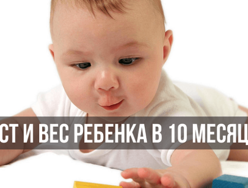 Рост и вес ребенка в 10 месяцев