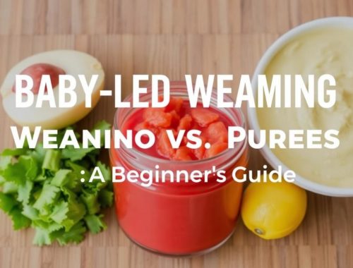 Baby-Led Weaning vs. Purees: A Friendly Beginner's Guide to Starting Solids
