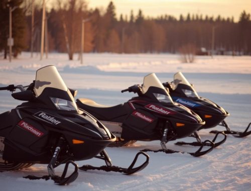 Снегоходы: как выбрать, обслуживать и уверенно ездить по снегу